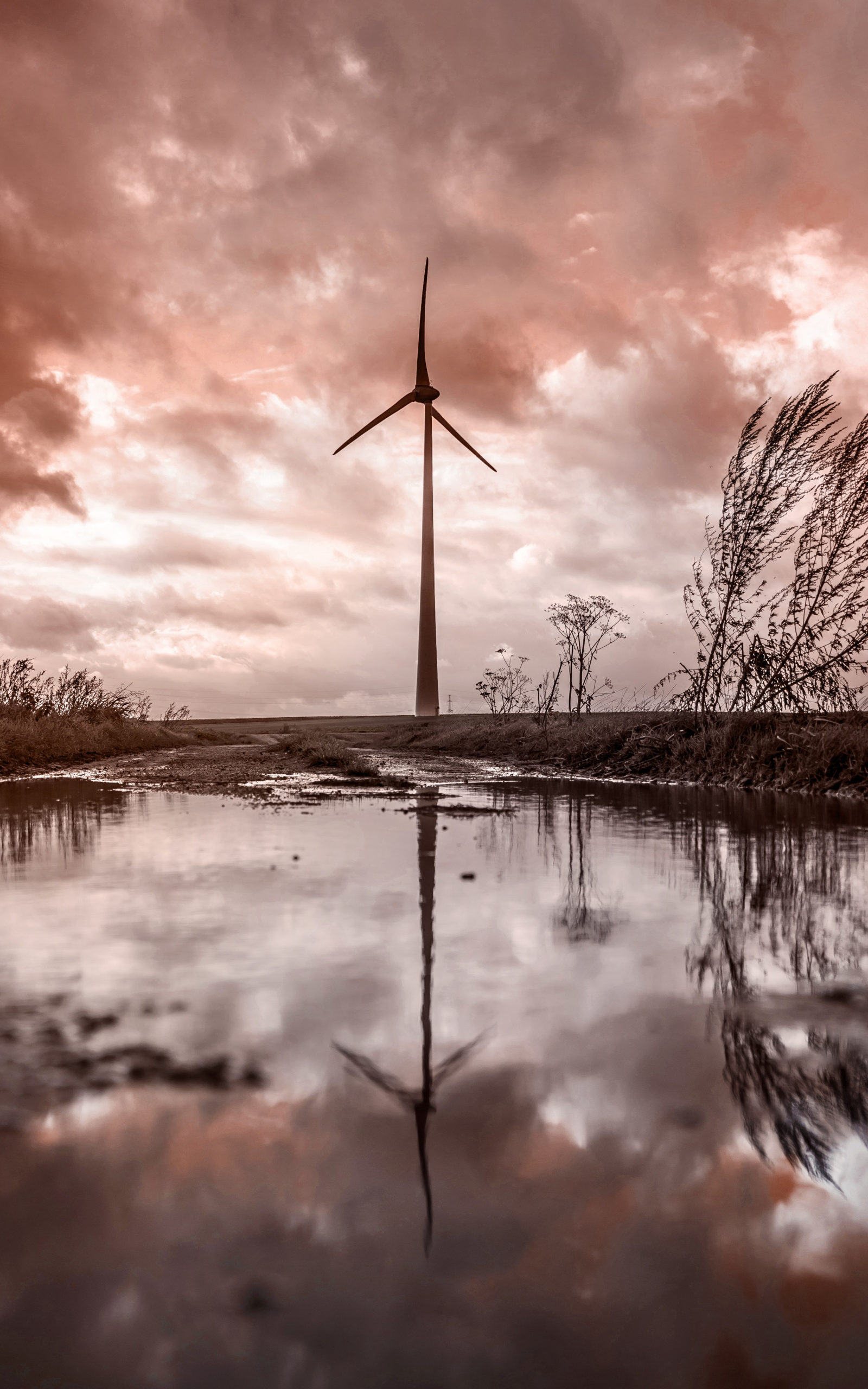 Windmill Windmill | COP26 Delay Could Disrupt Offset Supply | Brundtland Consulting
