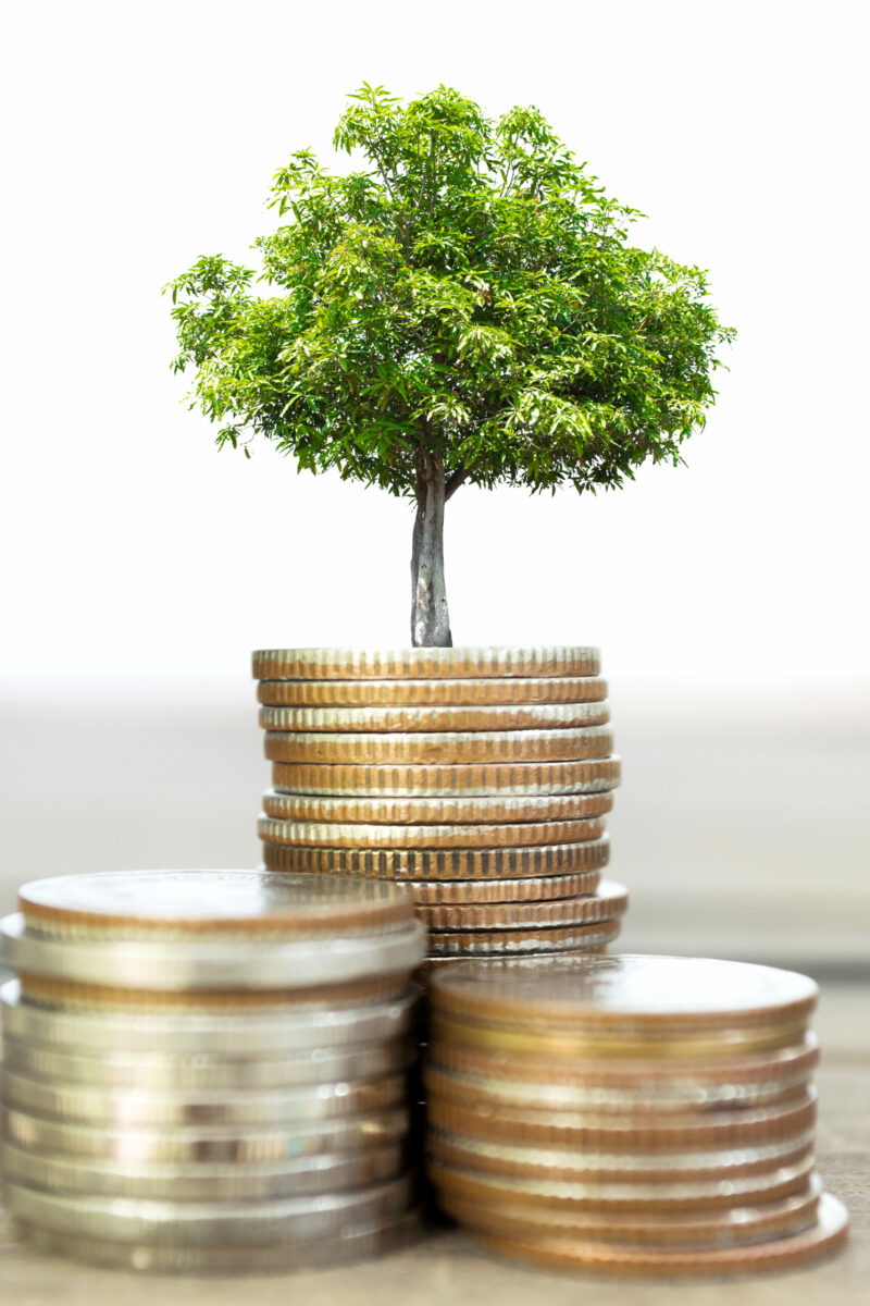 Credit_Dreamstime-scaled-800x1200 BRUNDTLAND SMART SUSTAINABLE SOLUTIONS | Brundtland Consulting